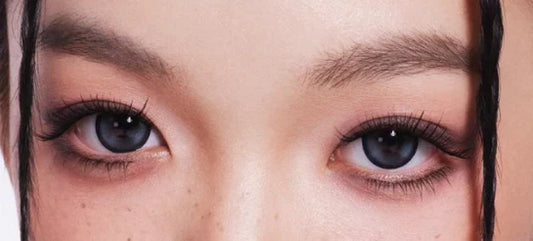  lenses
